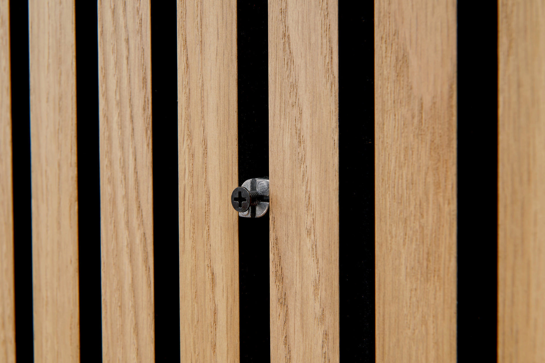 Ter Hürne Living Wall Function Fixierpunkt/Schraube Hendrik, Schwarz